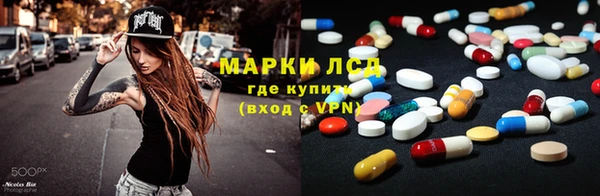 стаф Алзамай