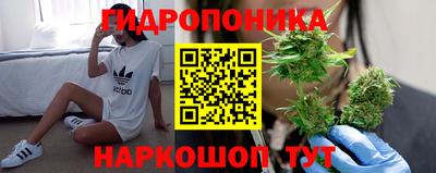 jwh Гусь-Хрустальный