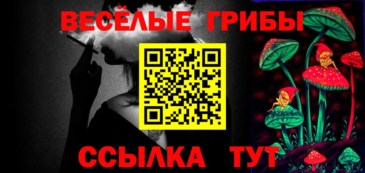 Галлюциногенные грибы GOLDEN TEACHER  Вход с VPN  Усолье-Сибирское  Галлюциногенные грибы Psilocybe 